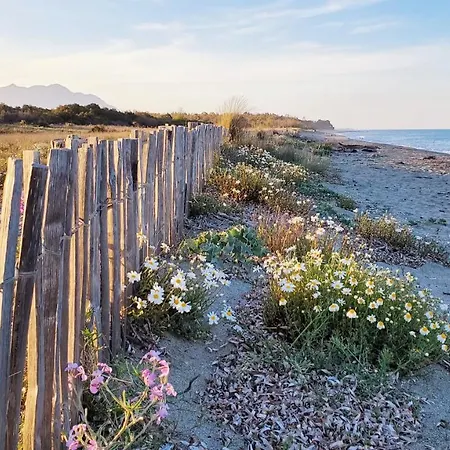 Marina Di Bravone Appartement