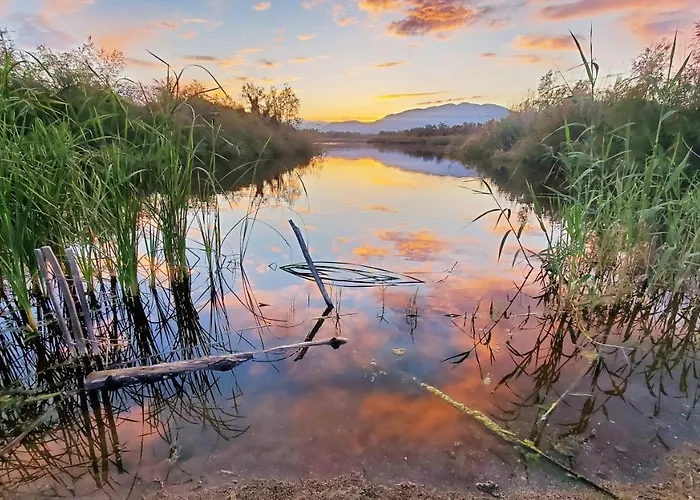 Résidence Marina Di Bravone
