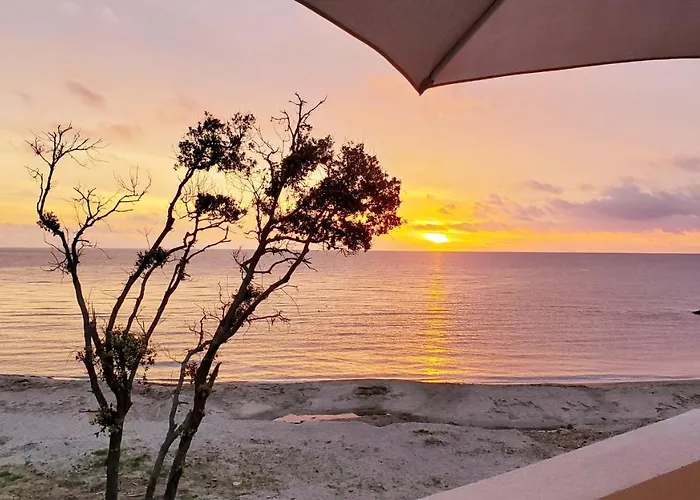 Résidence Marina Di Bravone