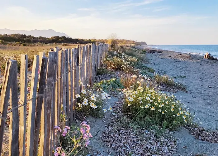 Marina Di Bravone Lejlighed